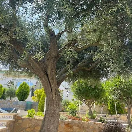 Sud Alicante Proche Mer Vakantiehuis *